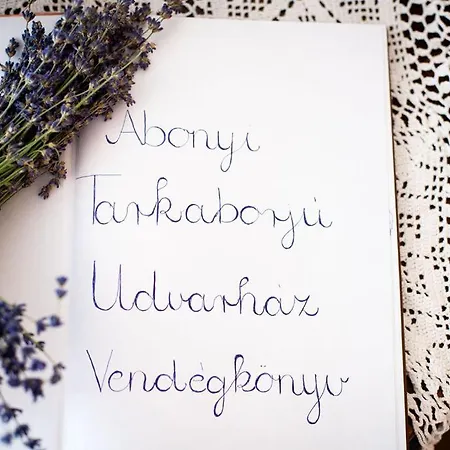 Abonyi Tarkaborju Udvarhaz *